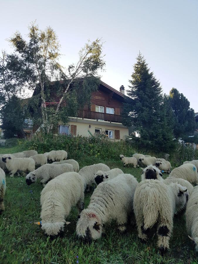 Chalet Bietschhorn Rosswald Termen Ngoại thất bức ảnh